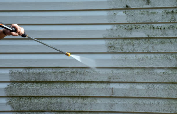 Best Roof Power Washing Services  in Webster, SD