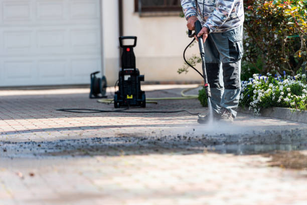 Best Best Pressure Washing Companies  in Webster, SD