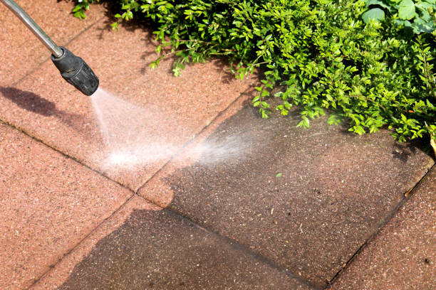 Best Pressure Washing Company Near Me  in Webster, SD
